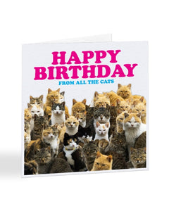 Happy Birthday From All The Cats - Birthday Greetings Card