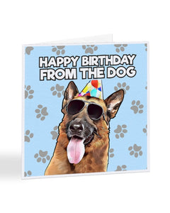 Birthday Card From The Dog, Popular Breeds, Birthday Greetings Card
