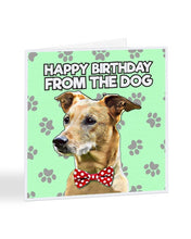 Load image into Gallery viewer, Birthday Card From The Dog, Popular Breeds, Birthday Greetings Card