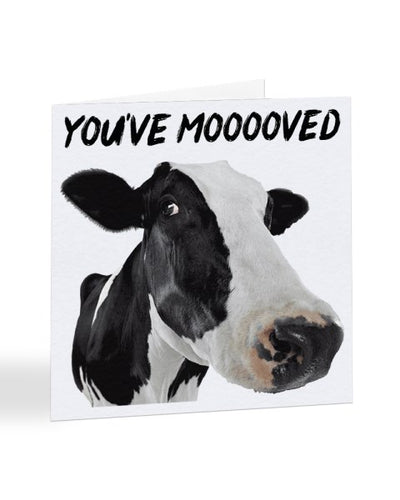 You've Mooooved - New House Greetings Card
