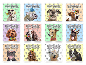 Birthday Card From The Dog, Popular Breeds, Birthday Greetings Card